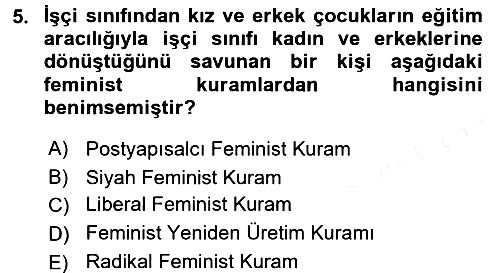 Toplumsal Cinsiyet Sosyolojisi 2017-2018 3 Ders Sınavı - 5. soru