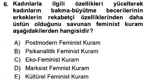 Toplumsal Cinsiyet Sosyolojisi 2017-2018 3 Ders Sınavı - 6. soru