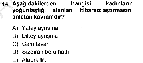 Toplumsal Cinsiyet Sosyolojisi 2012-2013 Ara Sınav - 14. soru