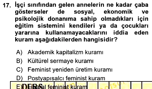Toplumsal Cinsiyet Sosyolojisi 2015-2016 Ara Sınav - 17. soru