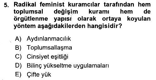 Toplumsal Cinsiyet Sosyolojisi 2024-2025 Ara Sınav - 5. soru