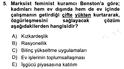 Toplumsal Cinsiyet Sosyolojisi 2025-2026 Ara Sınav - 5. soru