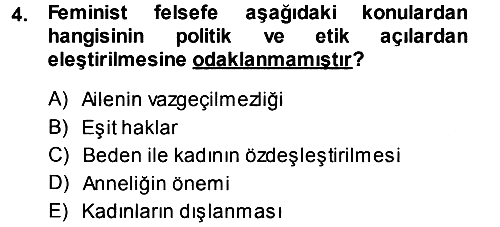 Toplumsal Cinsiyet Sosyolojisi 2013-2014 Dönem Sonu Sınavı - 4. soru