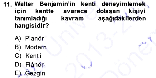 Toplumsal Cinsiyet Sosyolojisi 2013-2014 Dönem Sonu Sınavı - 11. soru