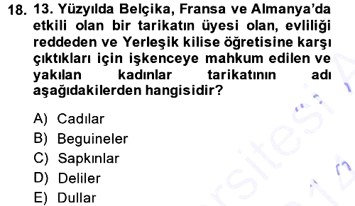 Toplumsal Cinsiyet Sosyolojisi 2013-2014 Dönem Sonu Sınavı - 18. soru