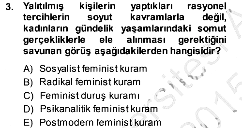 Toplumsal Cinsiyet Sosyolojisi 2014-2015 Dönem Sonu Sınavı - 3. soru