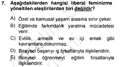 Toplumsal Cinsiyet Sosyolojisi 2014-2015 Dönem Sonu Sınavı - 7. soru