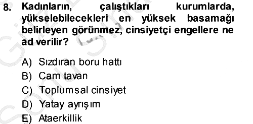 Toplumsal Cinsiyet Sosyolojisi 2014-2015 Dönem Sonu Sınavı - 8. soru