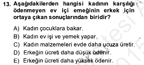 Toplumsal Cinsiyet Sosyolojisi 2014-2015 Dönem Sonu Sınavı - 13. soru