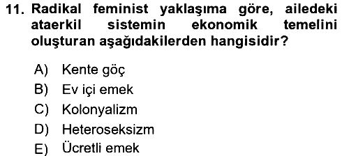 Toplumsal Cinsiyet Sosyolojisi 2015-2016 Dönem Sonu Sınavı - 11. soru