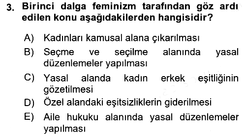 Toplumsal Cinsiyet Sosyolojisi 2016-2017 Dönem Sonu Sınavı - 3. soru