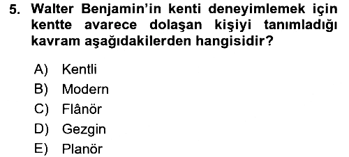 Toplumsal Cinsiyet Sosyolojisi 2016-2017 Dönem Sonu Sınavı - 5. soru