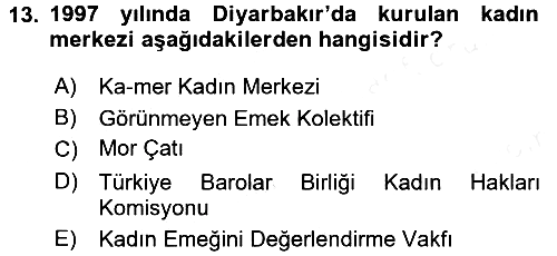 Toplumsal Cinsiyet Sosyolojisi 2016-2017 Dönem Sonu Sınavı - 13. soru