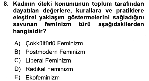 Toplumsal Cinsiyet Sosyolojisi 2017-2018 Dönem Sonu Sınavı - 8. soru
