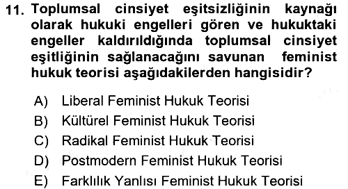 Toplumsal Cinsiyet Sosyolojisi 2017-2018 Dönem Sonu Sınavı - 11. soru