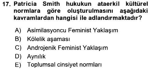 Toplumsal Cinsiyet Sosyolojisi 2017-2018 Dönem Sonu Sınavı - 17. soru