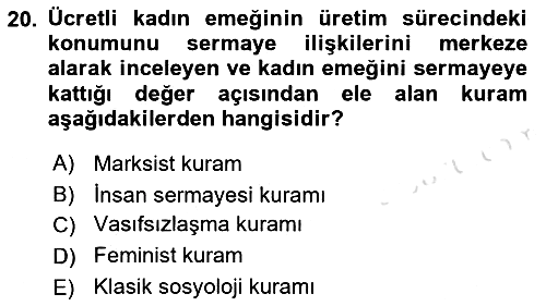 Toplumsal Cinsiyet Sosyolojisi 2019-2020 Dönem Sonu Sınavı - 20. soru