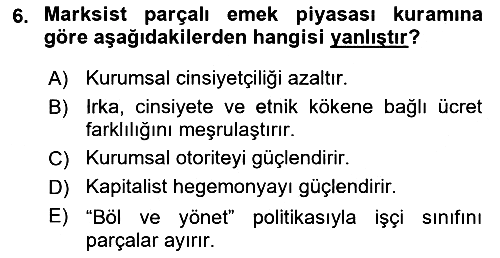 Toplumsal Cinsiyet Sosyolojisi 2021-2022 Dönem Sonu Sınavı - 6. soru