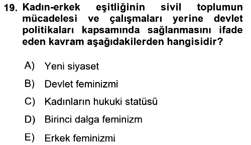 Toplumsal Cinsiyet Sosyolojisi 2023-2024 Dönem Sonu Sınavı - 19. soru
