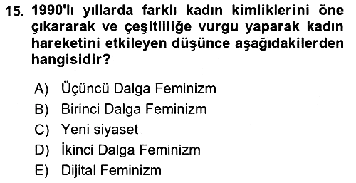 Toplumsal Cinsiyet Sosyolojisi 2024-2025 Dönem Sonu Sınavı - 15. soru