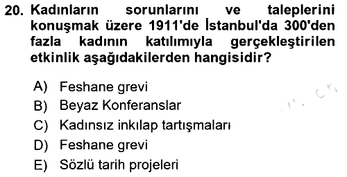 Toplumsal Cinsiyet Sosyolojisi 2024-2025 Dönem Sonu Sınavı - 20. soru
