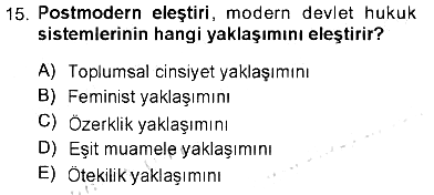 Toplumsal Cinsiyet Sosyolojisi 2012-2013 Tek Ders Sınavı - 15. soru
