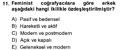 Toplumsal Cinsiyet Sosyolojisi 2013-2014 Tek Ders Sınavı - 11. soru