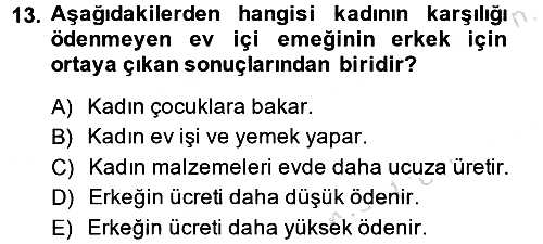 Toplumsal Cinsiyet Sosyolojisi 2014-2015 Tek Ders Sınavı - 13. soru