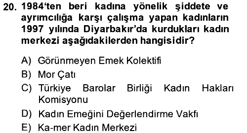 Toplumsal Cinsiyet Sosyolojisi 2014-2015 Tek Ders Sınavı - 20. soru