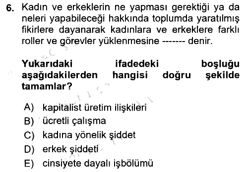 Toplumsal Cinsiyet Sosyolojisi 2020-2021 Yaz Okulu Sınavı - 6. soru