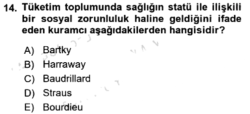 Toplumsal Cinsiyet Sosyolojisi 2023-2024 Yaz Okulu Sınavı - 14. soru