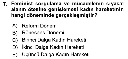 Toplumsal Cinsiyet Sosyolojisi 2024-2025 Yaz Okulu Sınavı - 7. soru