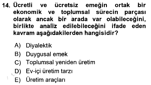 Toplumsal Cinsiyet Sosyolojisi 2024-2025 Yaz Okulu Sınavı - 14. soru