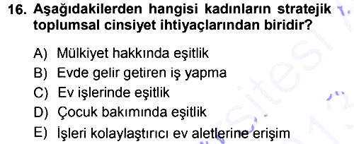 Toplumsal Değişme Kuramları 2012-2013 Dönem Sonu Sınavı - 16. soru