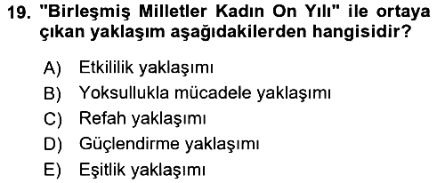 Toplumsal Değişme Kuramları 2016-2017 Dönem Sonu Sınavı - 19. soru