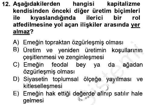 Toplumsal Tabakalaşma ve Eşitsizlik 2012-2013 Ara Sınav - 12. soru