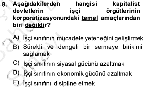 Toplumsal Tabakalaşma ve Eşitsizlik 2014-2015 Ara Sınav - 8. soru