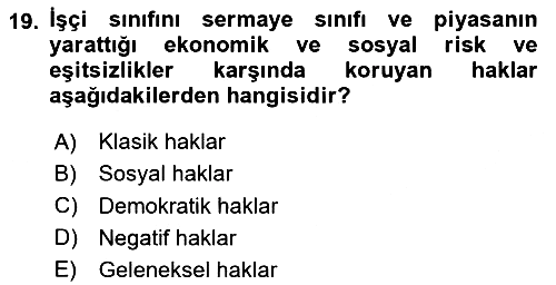Toplumsal Tabakalaşma ve Eşitsizlik 2024-2025 Ara Sınav - 19. soru