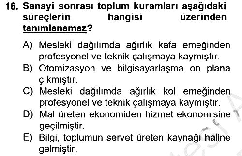 Toplumsal Tabakalaşma ve Eşitsizlik 2012-2013 Dönem Sonu Sınavı - 16. soru