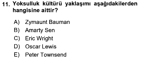 Toplumsal Tabakalaşma ve Eşitsizlik 2017-2018 Dönem Sonu Sınavı - 11. soru