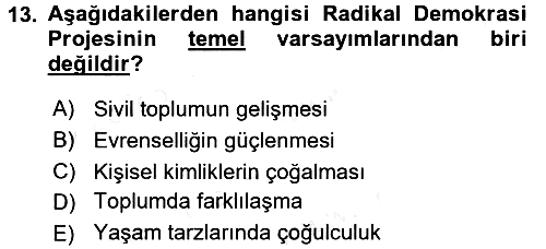 Toplumsal Tabakalaşma ve Eşitsizlik 2017-2018 Dönem Sonu Sınavı - 13. soru
