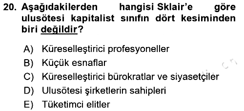 Toplumsal Tabakalaşma ve Eşitsizlik 2024-2025 Dönem Sonu Sınavı - 20. soru