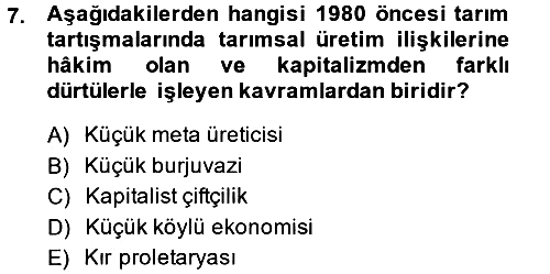 Toplumsal Tabakalaşma ve Eşitsizlik 2013-2014 Tek Ders Sınavı - 7. soru