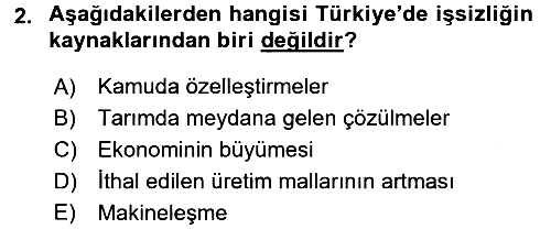 Toplumsal Tabakalaşma ve Eşitsizlik 2015-2016 Tek Ders Sınavı - 2. soru
