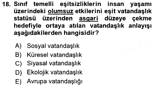 Toplumsal Tabakalaşma ve Eşitsizlik 2015-2016 Tek Ders Sınavı - 18. soru