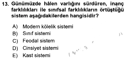 Toplumsal Tabakalaşma ve Eşitsizlik 2018-2019 Yaz Okulu Sınavı - 13. soru