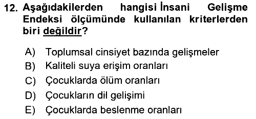 Toplumsal Tabakalaşma ve Eşitsizlik 2020-2021 Yaz Okulu Sınavı - 12. soru