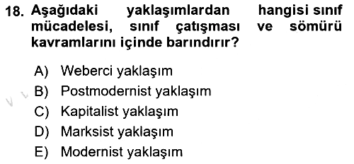 Toplumsal Tabakalaşma ve Eşitsizlik 2020-2021 Yaz Okulu Sınavı - 18. soru