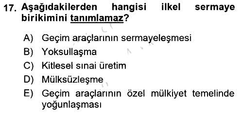 Toplumsal Tabakalaşma ve Eşitsizlik 2021-2022 Yaz Okulu Sınavı - 17. soru