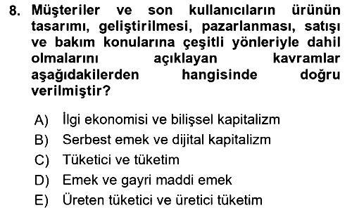 Tüketim Sosyolojisi 2024-2025 Ara Sınav - 8. soru